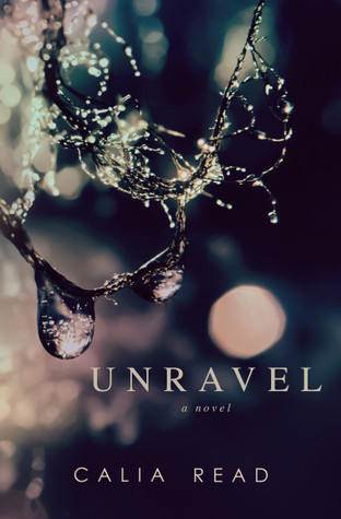 Fairfax book cover 1