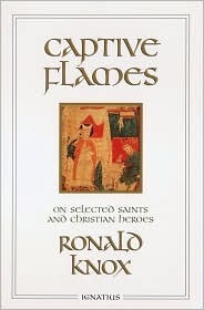 Captive Flames book cover