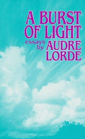 A Burst of Light book cover