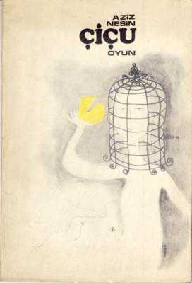 Çiçu book cover