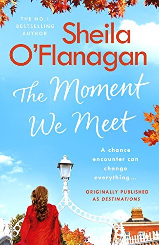 The Moment We Meet book cover
