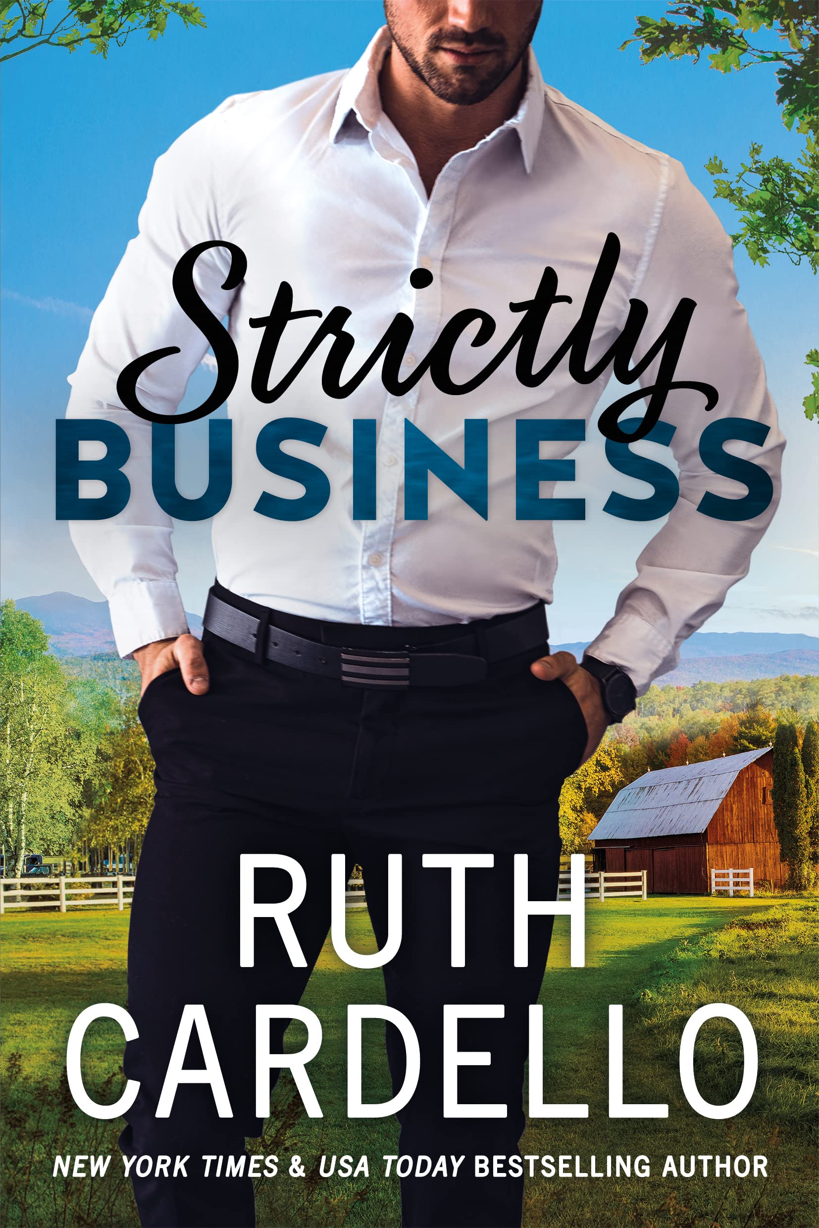 The Switch book cover 1