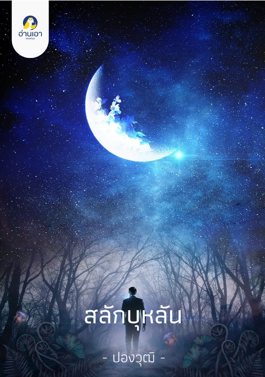 สลักบุหลัน book cover