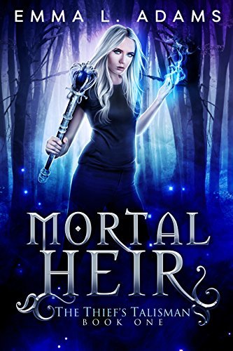 The Thief's Talisman book cover 1