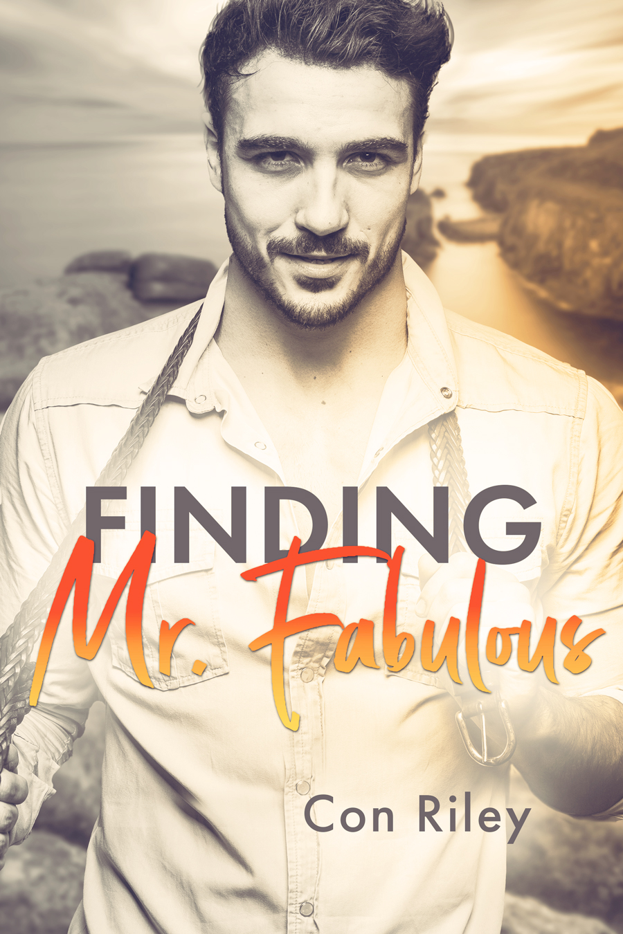 Finding Mr. Fabulous book cover
