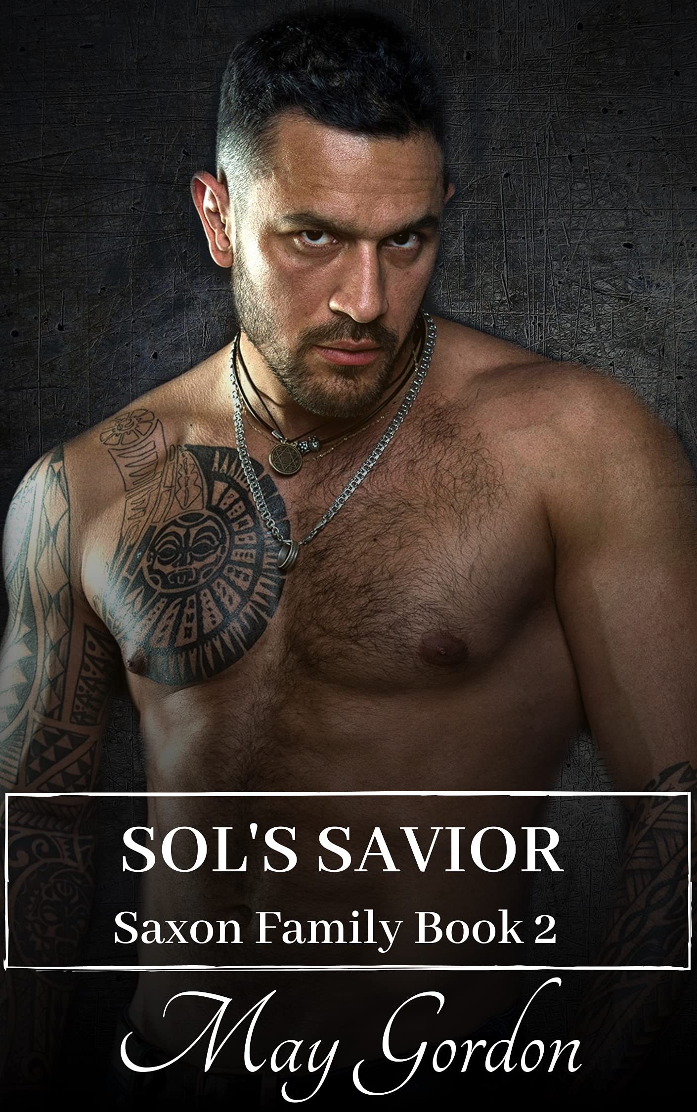 Sol's Savior book cover