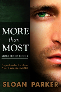 More book cover 2