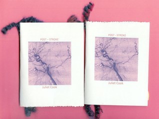 POST-STROKE book cover