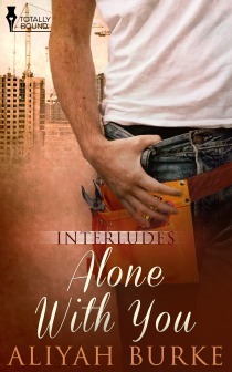Interludes book cover 2