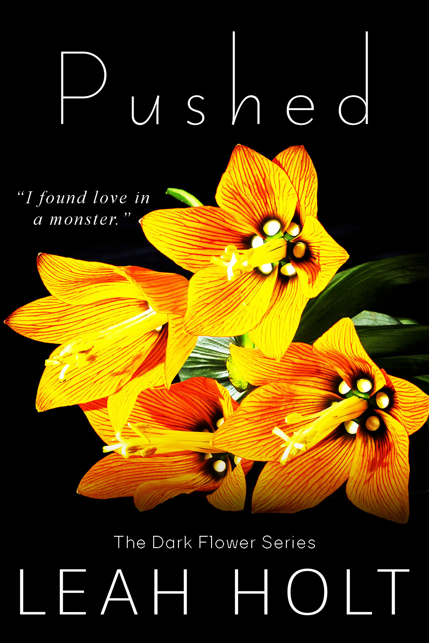 The Dark Flower book cover 1