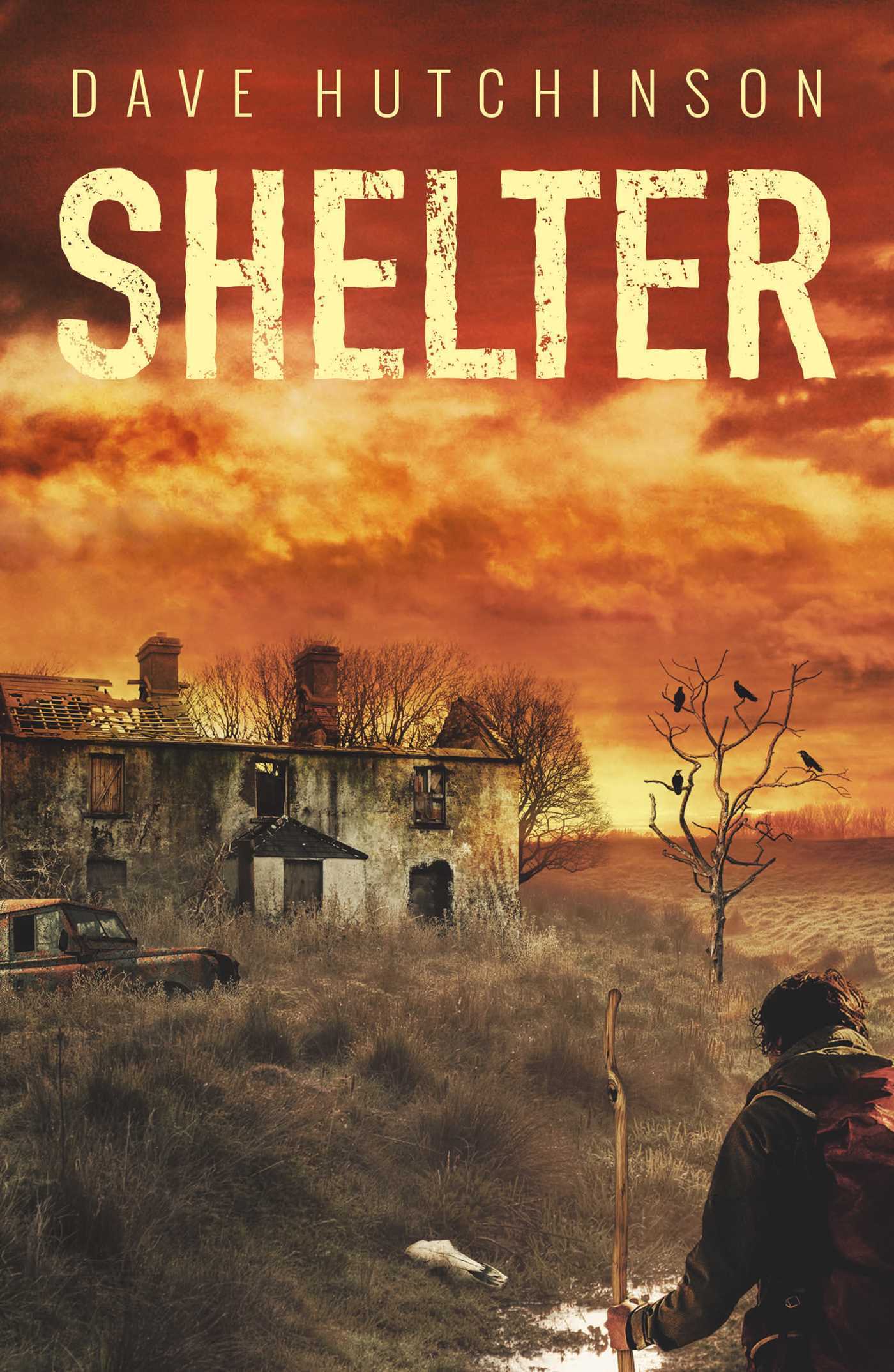 The Aftermath book cover 1