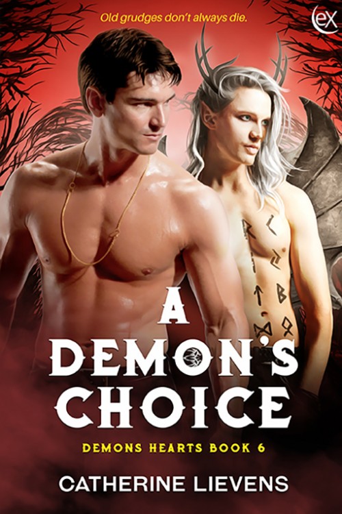 A Demon's Choice book cover