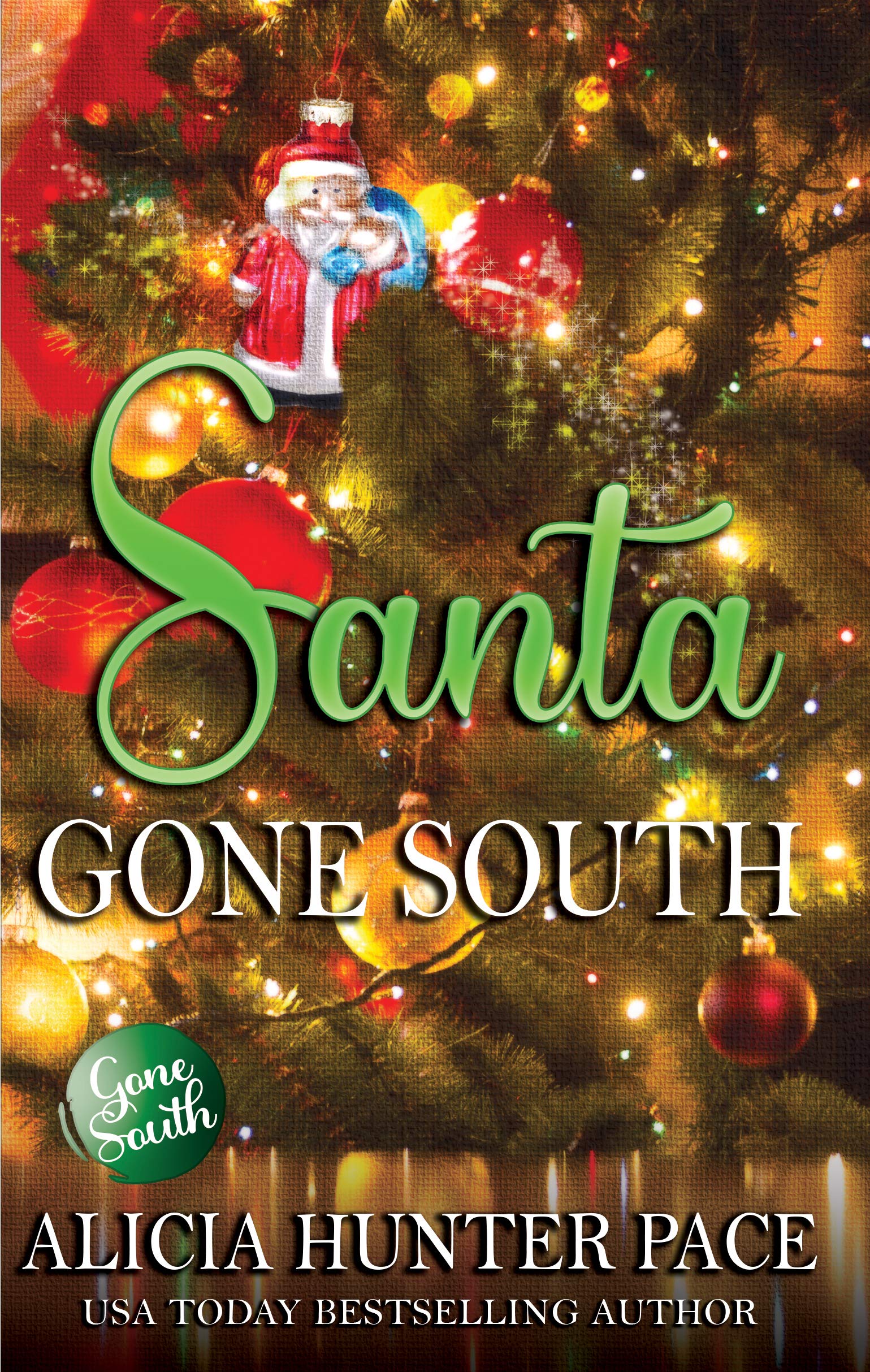 Santa Gone South book cover