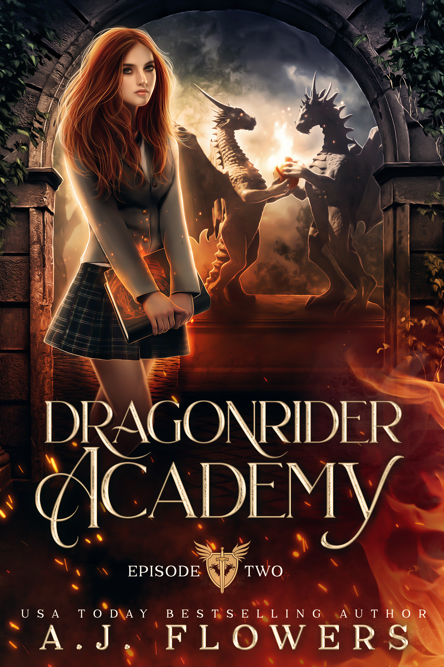 Dragonrider Academy book cover 2