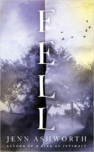 Fell book cover