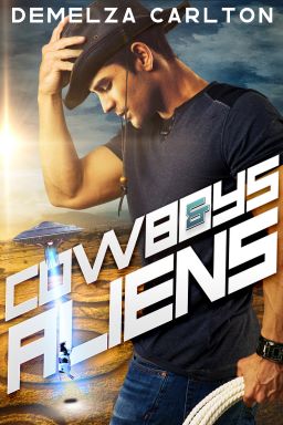 Colony: Holiday book cover 1