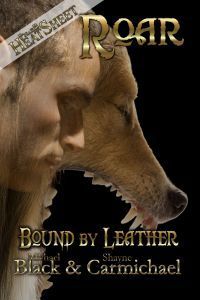 Bound by Leather book cover