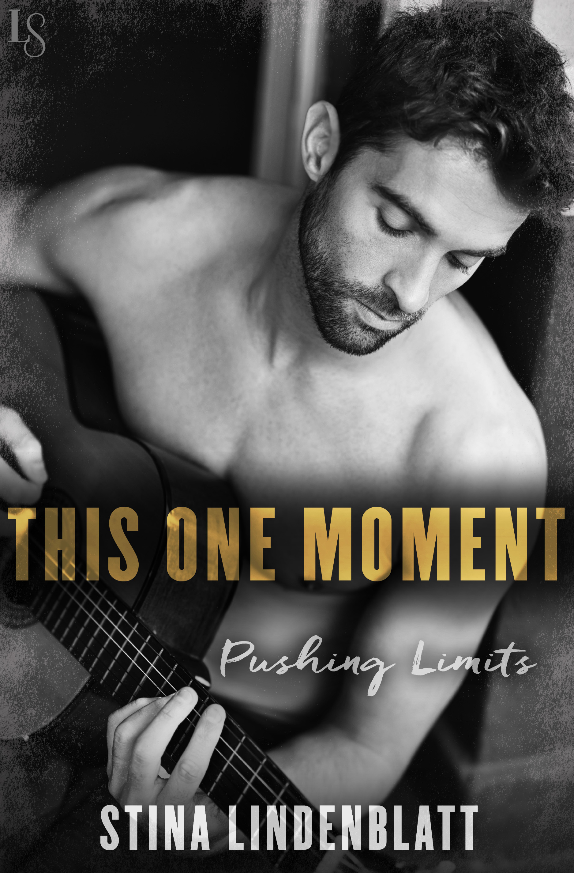 Pushing Limits book cover 1