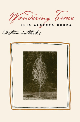 Wandering Time book cover
