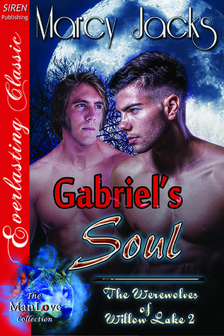 Gabriel's Soul book cover