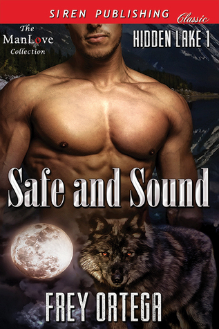 Hidden Lake book cover 1