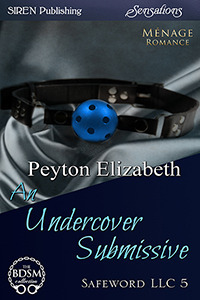 An Undercover Submissive book cover