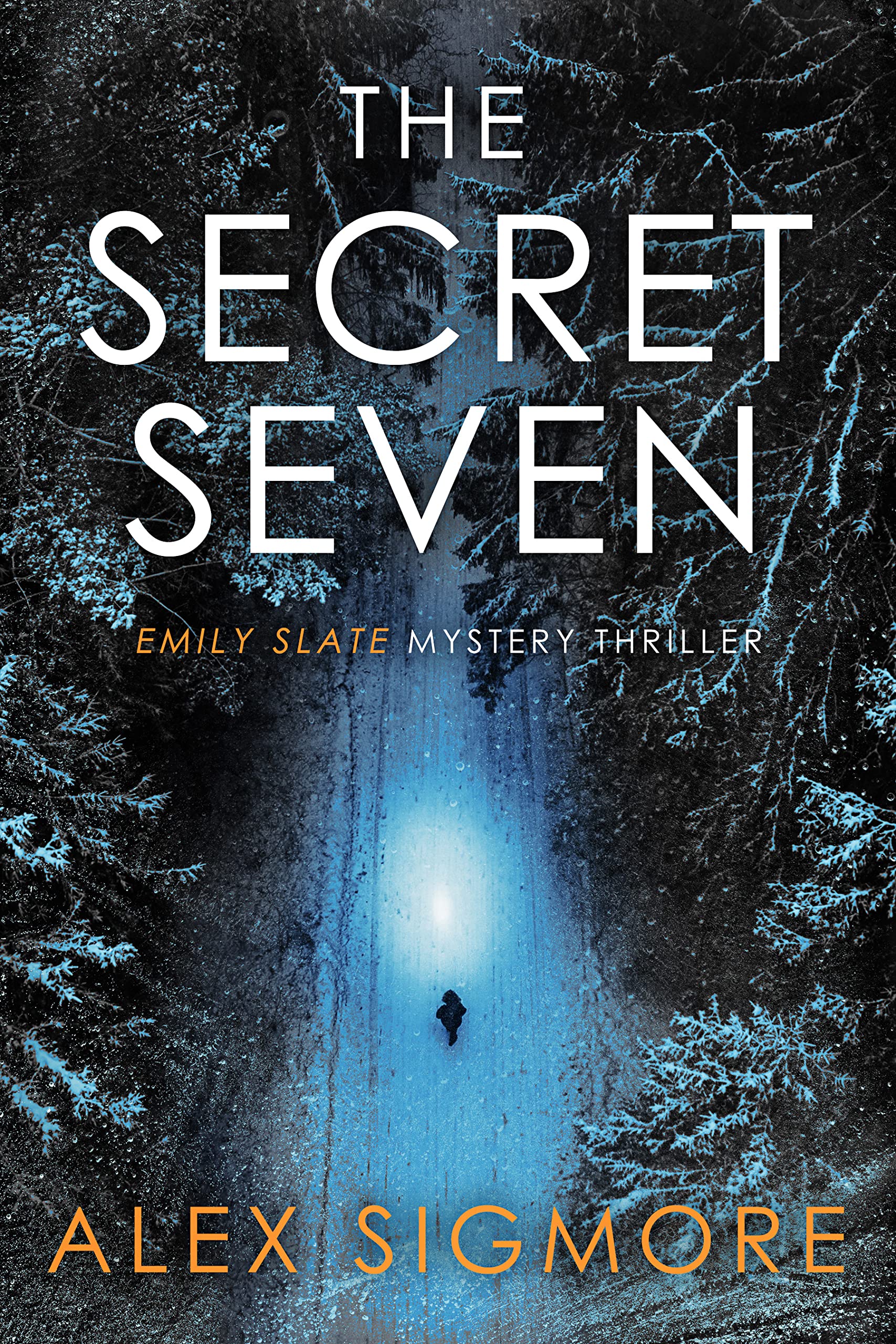 The Secret Seven book cover