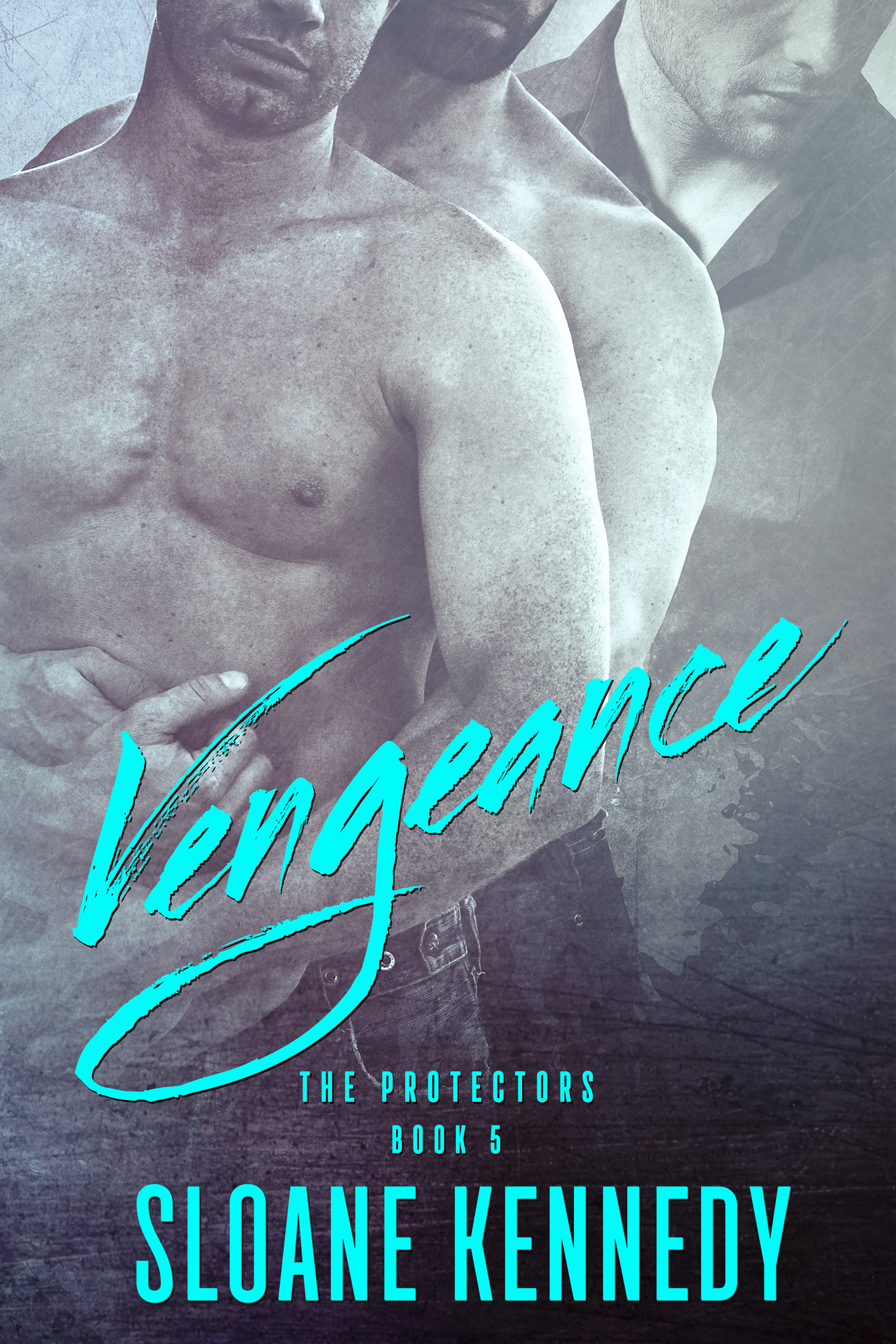 Vengeance book cover