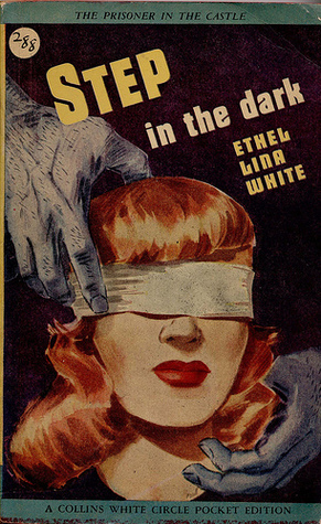 Step in the Dark book cover