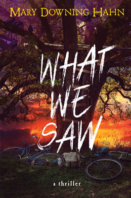 What We Saw book cover