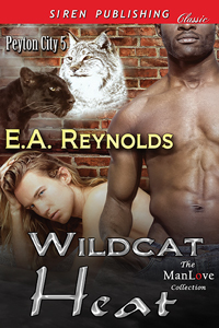 Wildcat Heat book cover