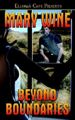Breaking Boundaries book cover 1