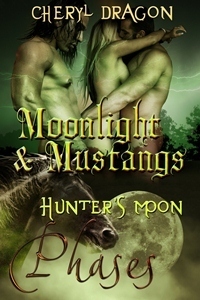 Moonlight & Mustangs book cover