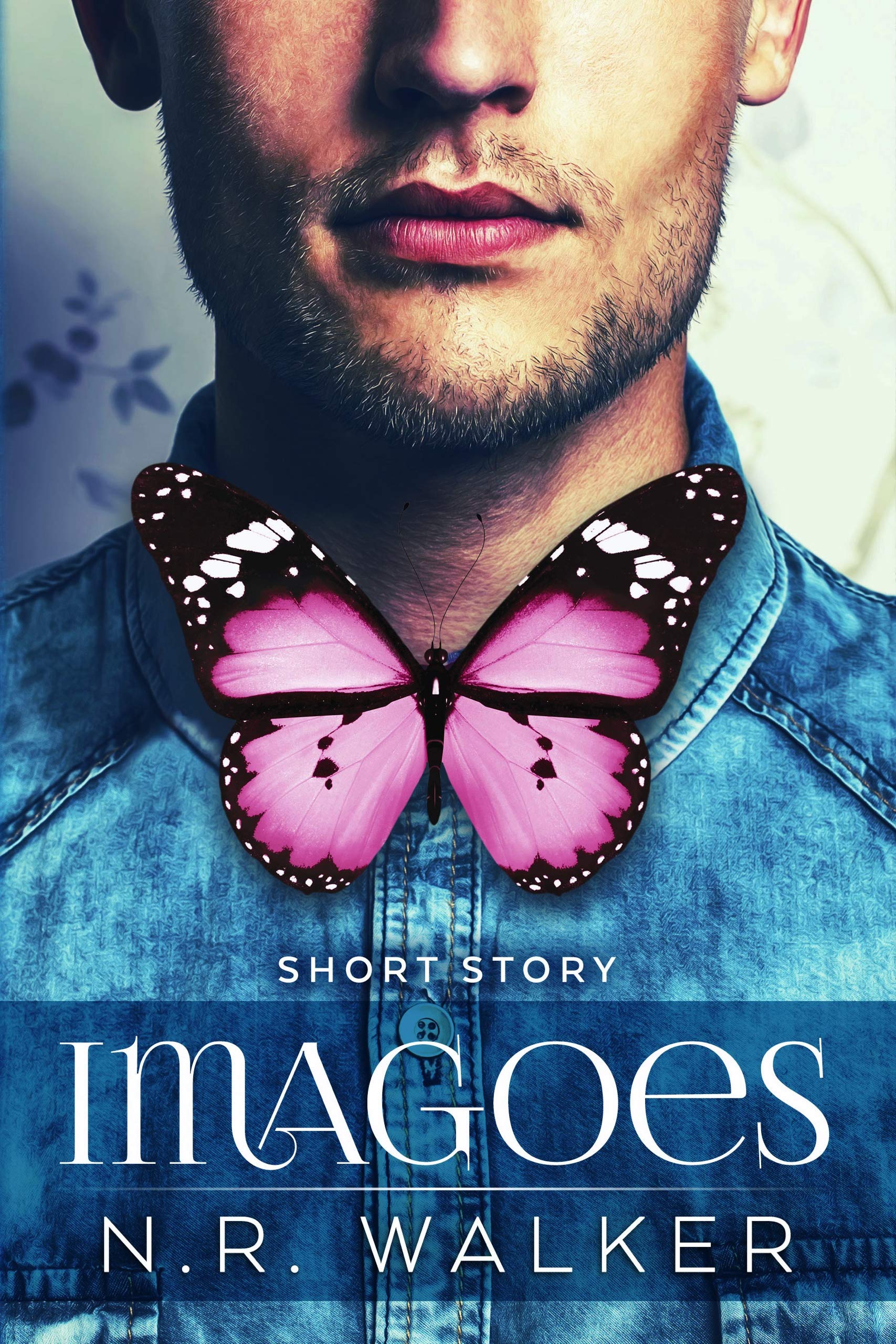 Imagoes book cover