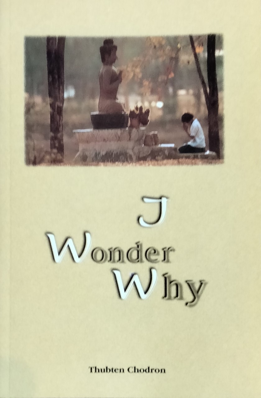 I Wonder Why book cover