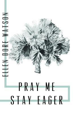 Pray Me Stay Eager book cover