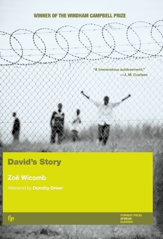 David's Story book cover