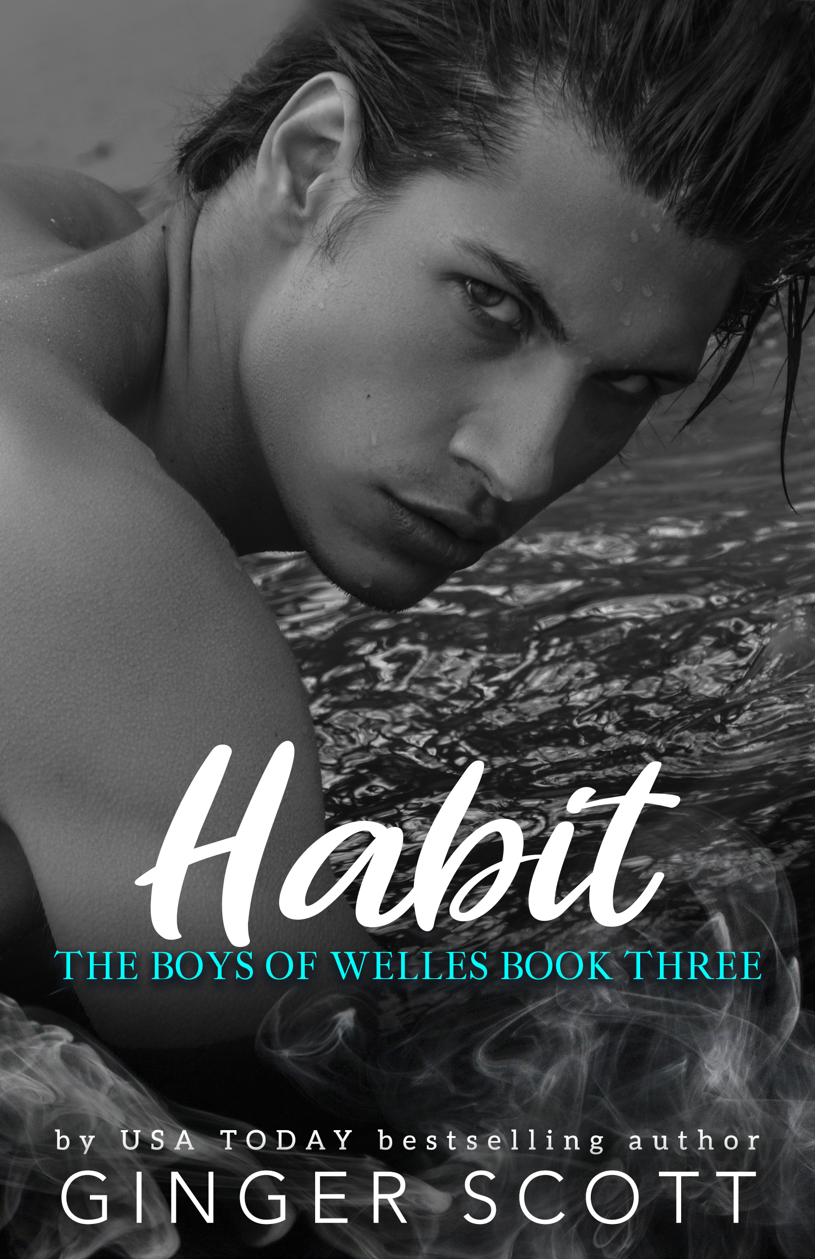 The Boys of Welles book cover 2