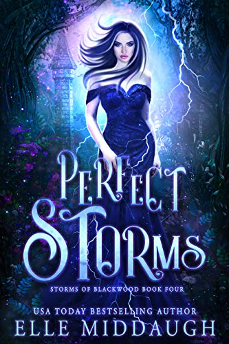 Perfect Storms book cover