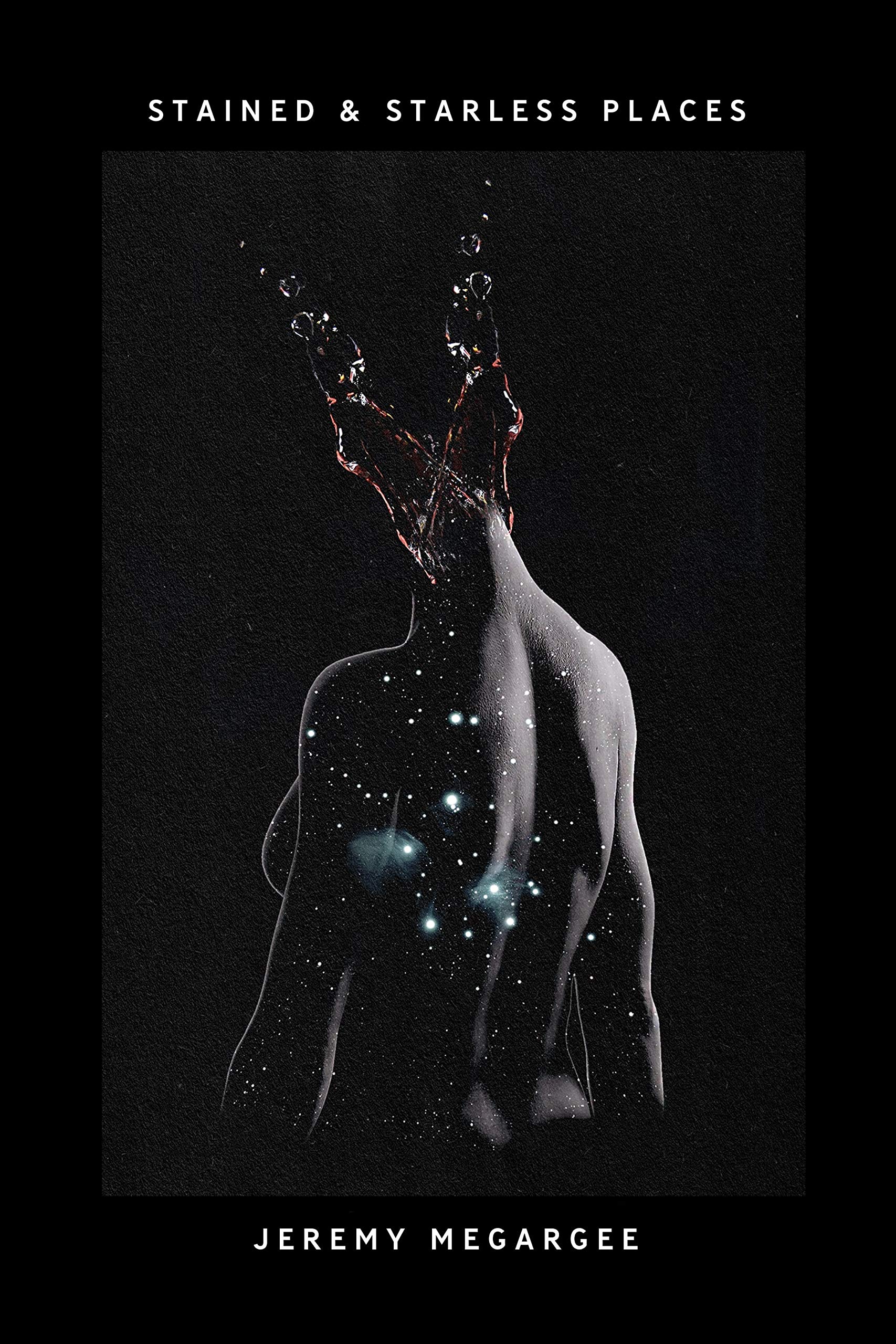 Stained & Starless Places book cover