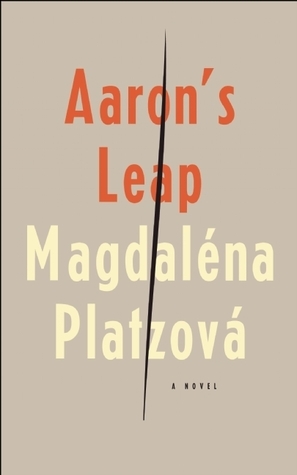 Aaron's Leap book cover