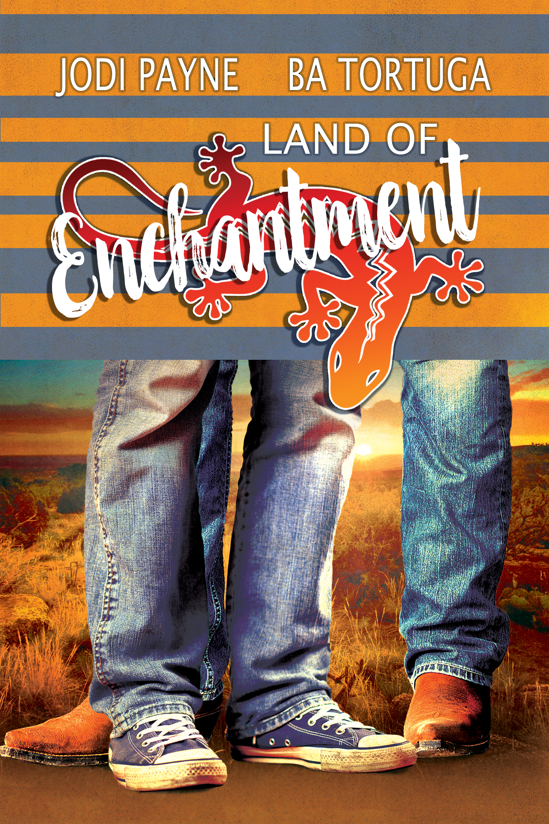 Land of Enchantment book cover