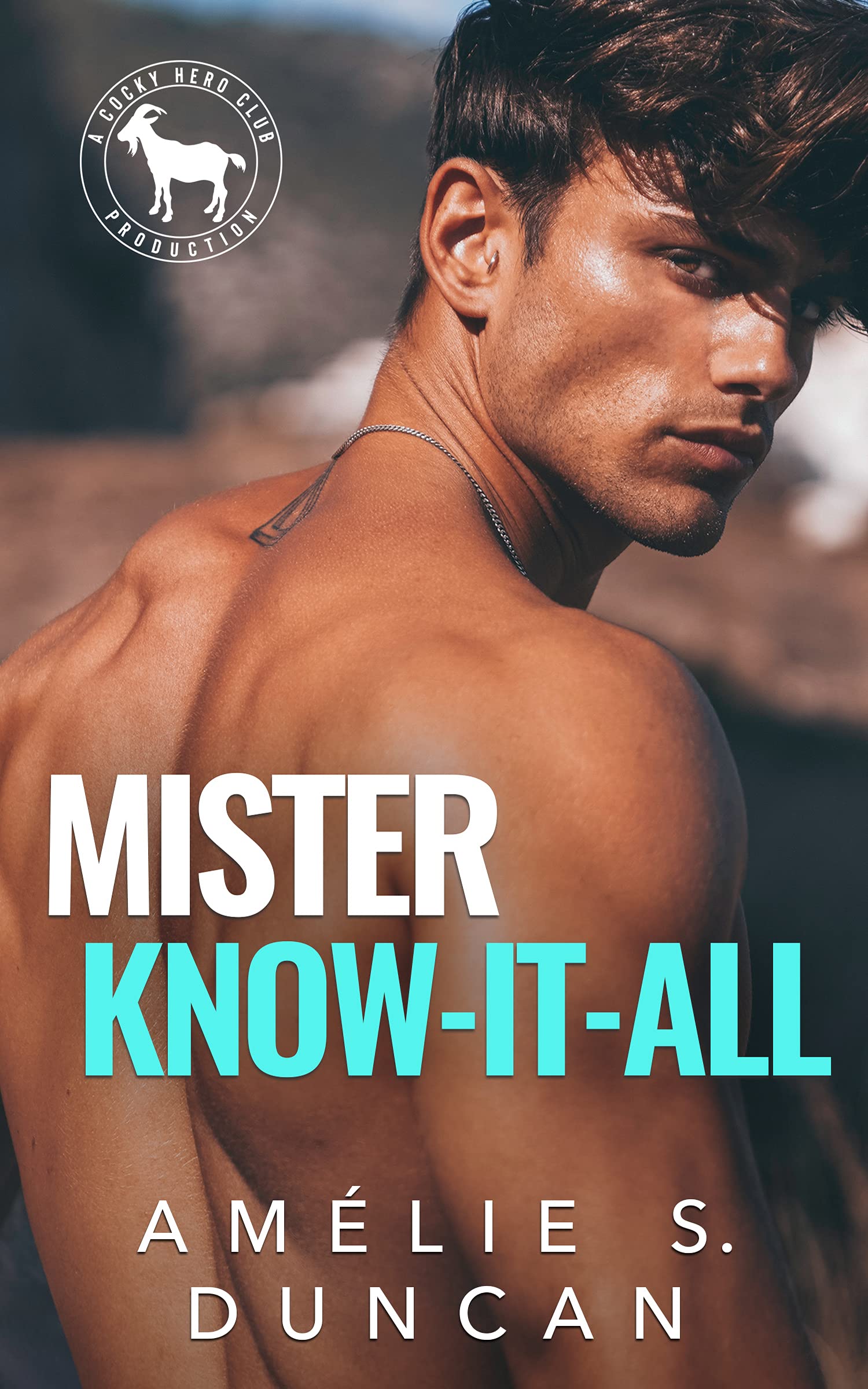 Mister Know It All book cover