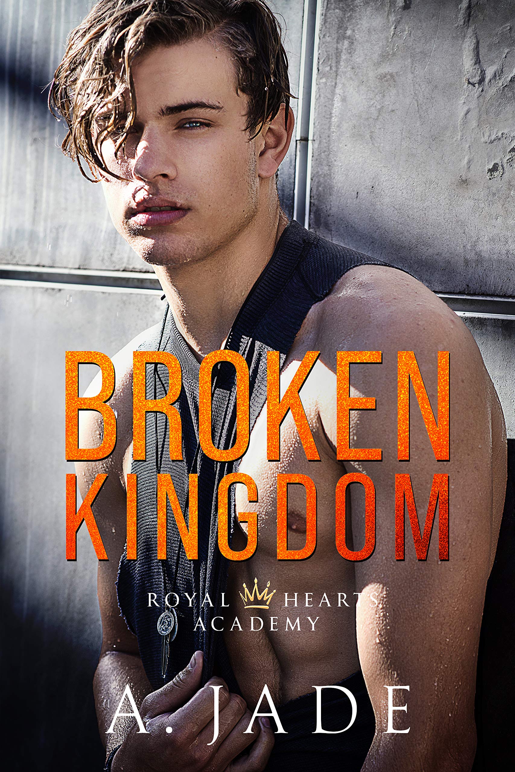 Broken Kingdom book cover