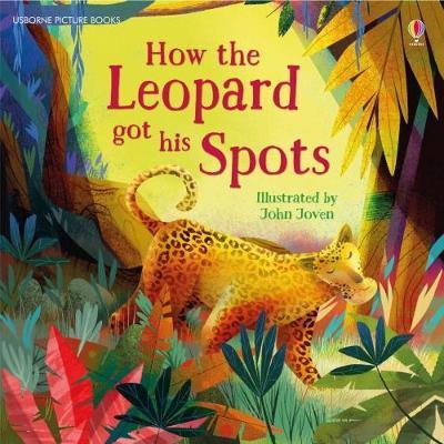 How the Leopard Got His Spots book cover