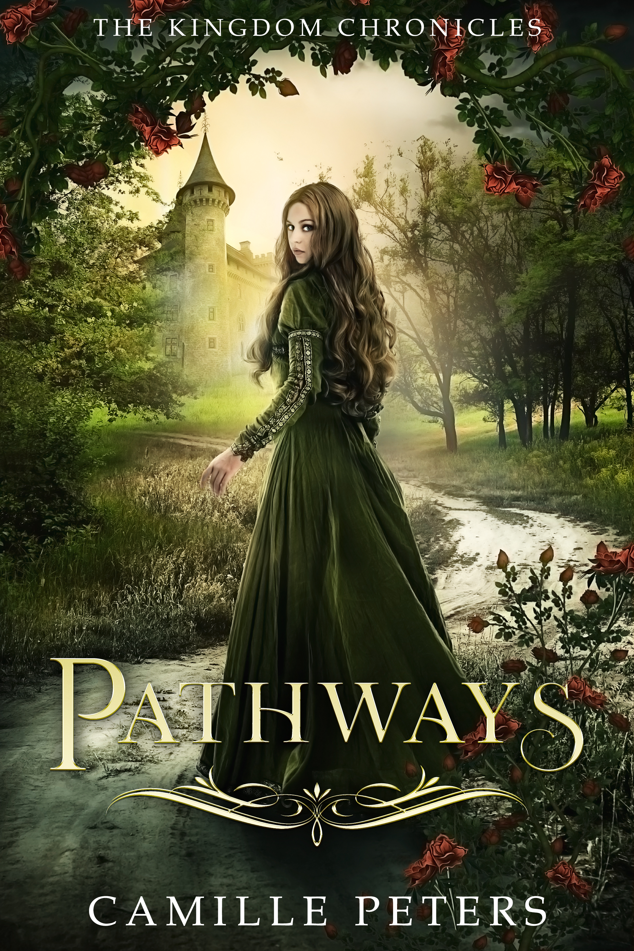 The Kingdom Chronicles book cover 1
