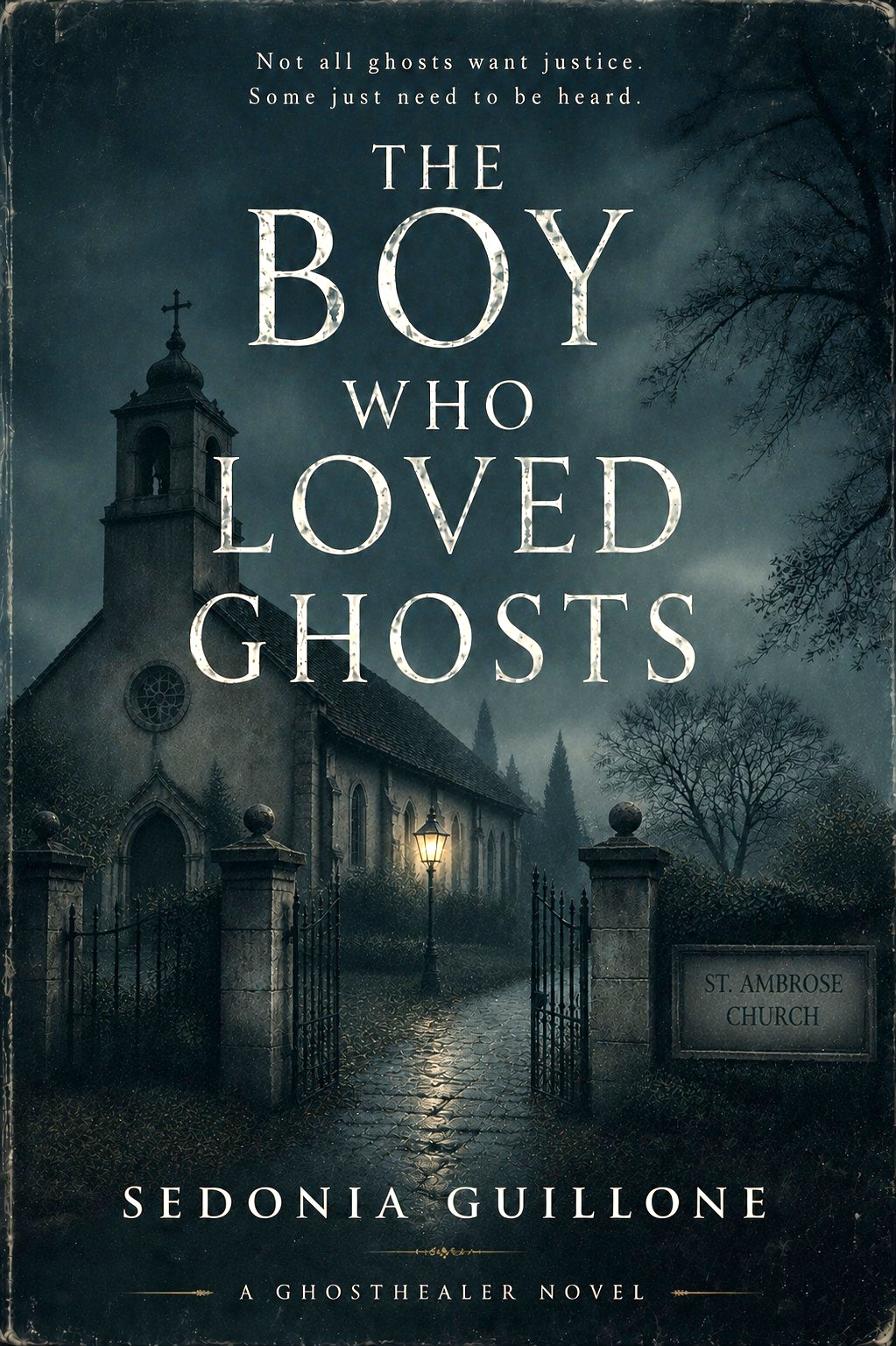 The Boy Who Loved Ghosts book cover