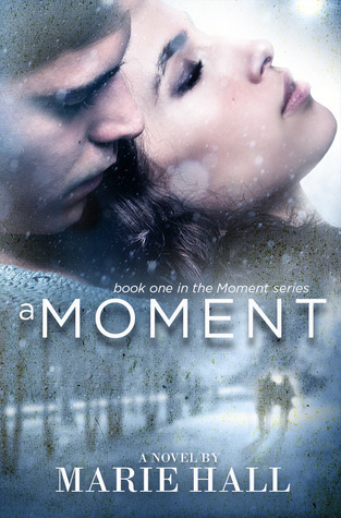 Moments book cover 1