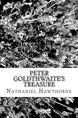 Peter Goldthwaite's Treasure book cover