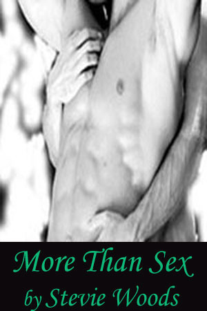 More Than Sex book cover